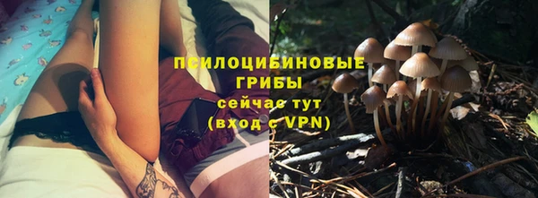 гидропоника Протвино