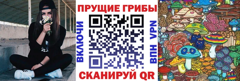 как найти закладки  hydra tor  Галлюциногенные грибы GOLDEN TEACHER  Сосновка 